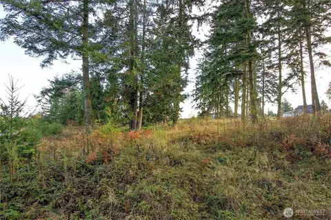 95 Shauna Pl, Sequim, WA 98382 photo 15
