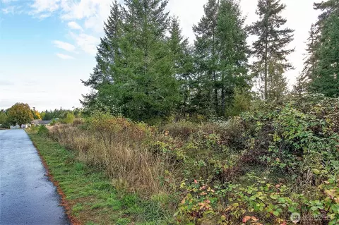 95 Shauna Pl, Sequim, WA 98382 photo 33
