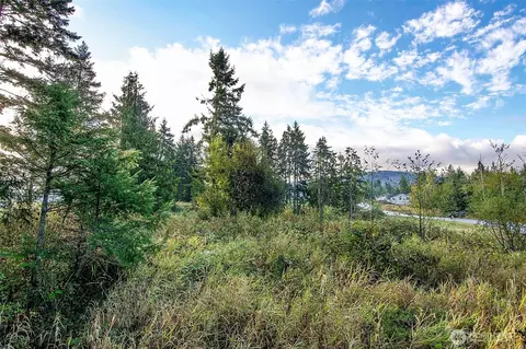 95 Shauna Pl, Sequim, WA 98382 photo 13