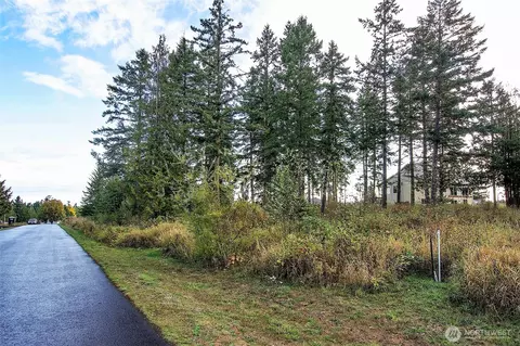 95 Shauna Pl, Sequim, WA 98382 photo 19