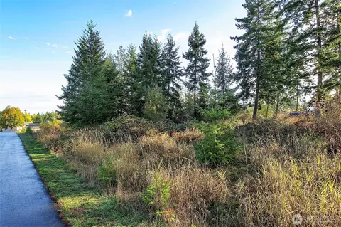 95 Shauna Pl, Sequim, WA 98382 photo 21