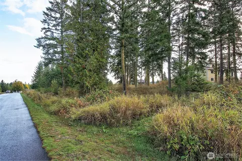 95 Shauna Pl, Sequim, WA 98382 photo 26