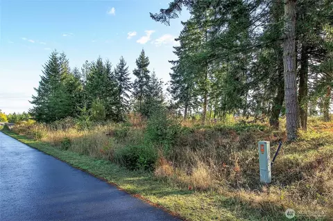 95 Shauna Pl, Sequim, WA 98382 photo 20