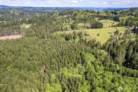 0 Orion, Longview, WA 98632 photo 12
