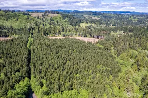 0 Orion, Longview, WA 98632 photo 10