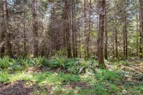 0 Orion, Longview, WA 98632 photo 8