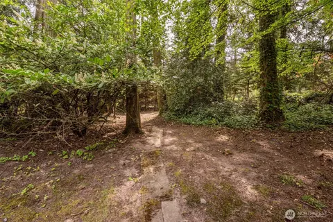 377 Stellar Ridge Ln, Sequim, WA 98382 photo 17