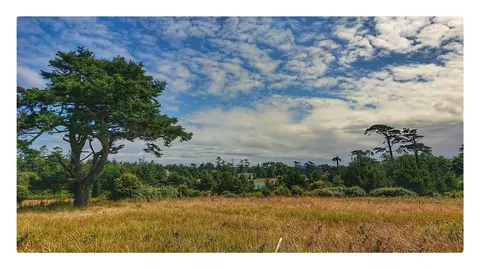 97 Meadow Ln, Friday Harbor, WA 98250