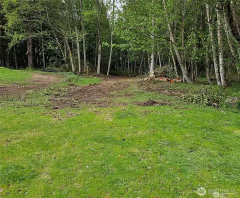 0 267th Avenue Ct E, Carbonado, WA 98323
