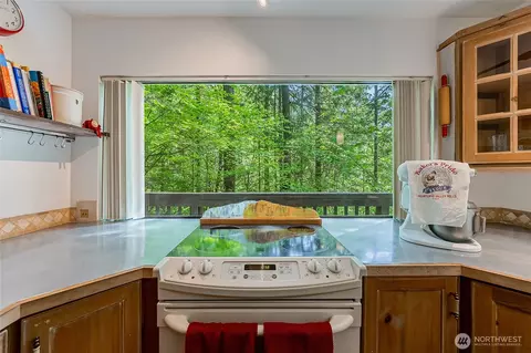 Kitchen - 352 Craig Rd, Packwood, WA 98361 photo 3 of 6