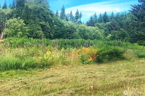 0 S Valley Ln #LOT 5, Naselle, WA 98638