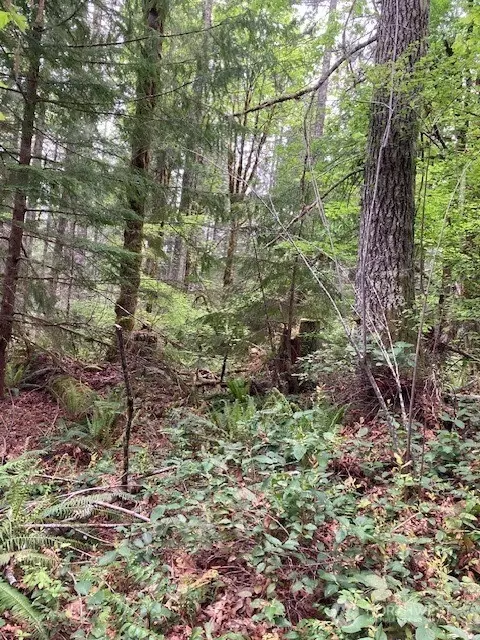 301 N Yellowhawk Rd, Hoodsport, WA 98548