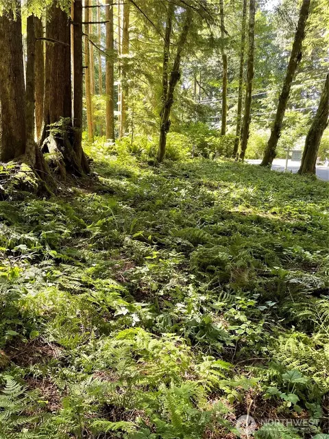 0 S Nnnnn S Shore Dr, Mount Vernon, WA 98274