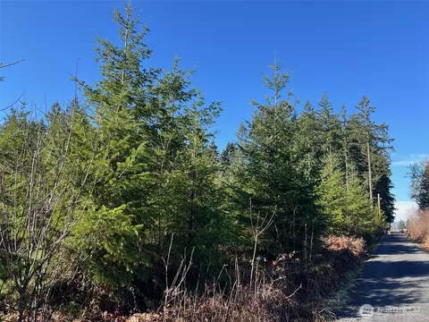 0 Winter Rd, Winlock, WA 98596