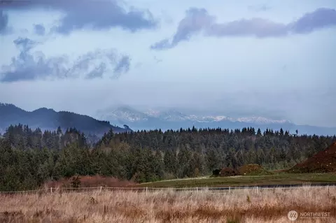 13907 Quiet Waters Ln SW, Rochester, WA 98579
