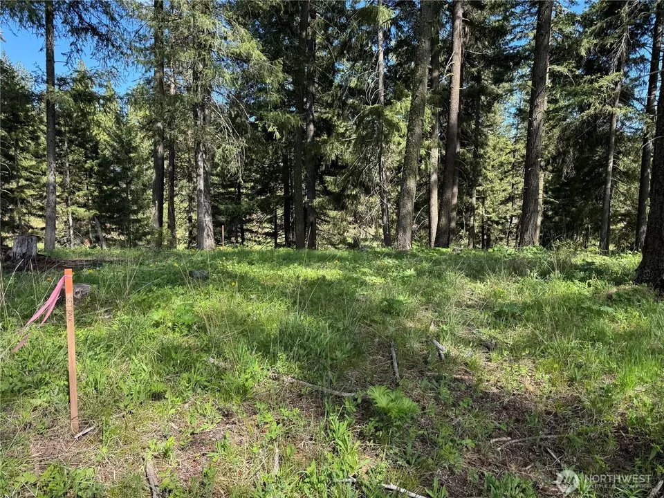  0 Nn Kokanee Loop, Cle Elum, WA 98922 photo 6