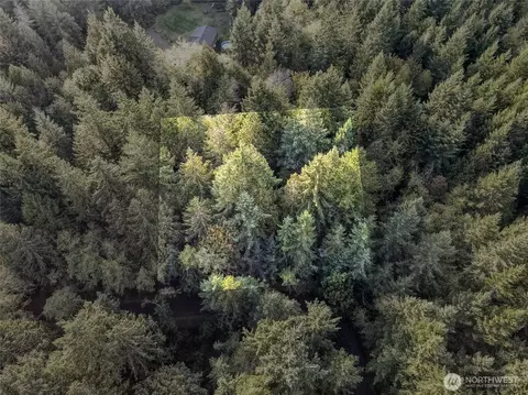 91 Sylvan Rd, Shelton, WA 98584