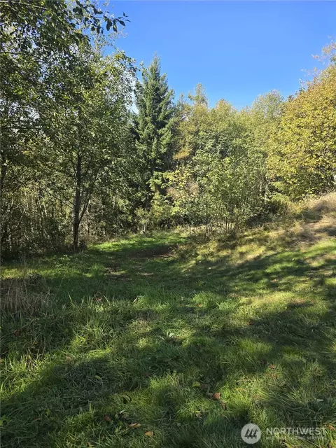 0 2500 Rd, Toutle, WA 98649