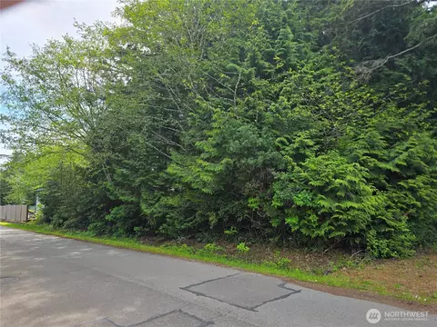 0 Nnn Paradise Ln, Pacific Beach, WA 98571