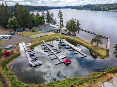 View/Area - 320 E Lakeview Dr, Grapeview, WA 98546 photo 1 of 7