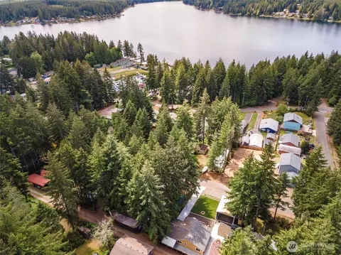 View/Area - 320 E Lakeview Dr, Grapeview, WA 98546 photo 3 of 7
