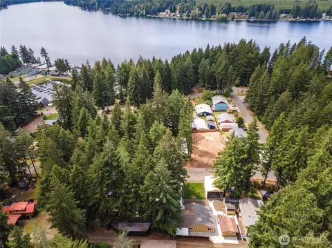 View/Area - 320 E Lakeview Dr, Grapeview, WA 98546 photo 4 of 7