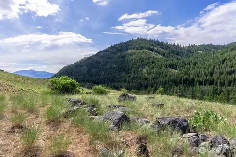 187 Twisp River Rd, Twisp, WA 98801 photo 17