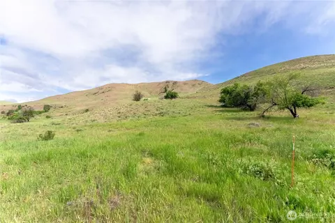 187 Twisp River Rd, Twisp, WA 98801 photo 6