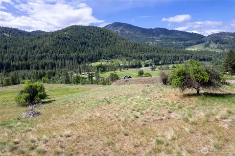 187 Twisp River Rd, Twisp, WA 98801 photo 8