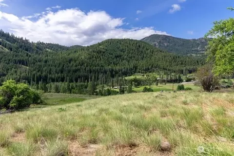 187 Twisp River Rd, Twisp, WA 98801 photo 16