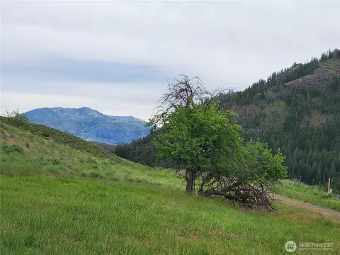 187 Twisp River Rd, Twisp, WA 98801 photo 5