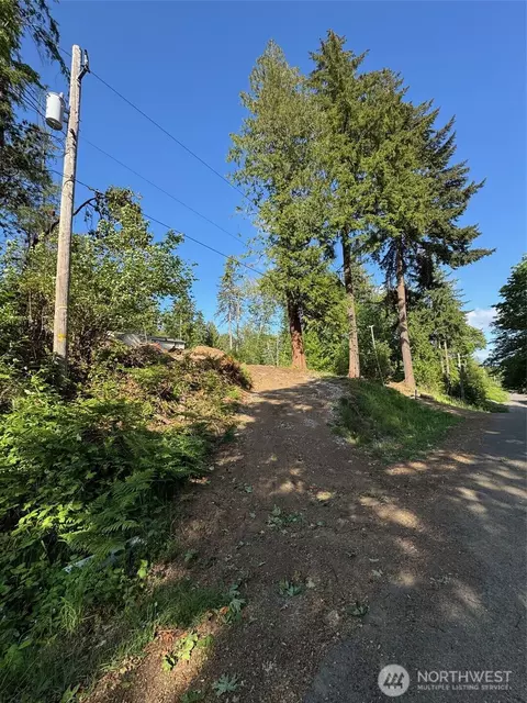 0 E Panorama #LOT 15, Shelton, WA 98584