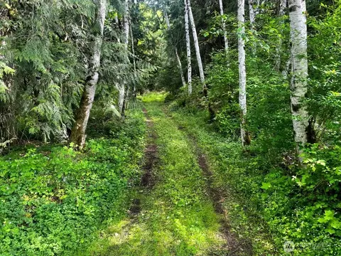 293 Zion View Ln, Quilcene, WA 98376