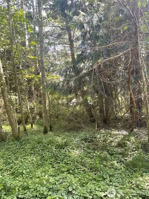 1321 54th St, Port Townsend, WA 98368