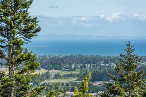 View/Area - 322 Ravens Ridge Rd, Sequim, WA 98382 photo 2 of 4