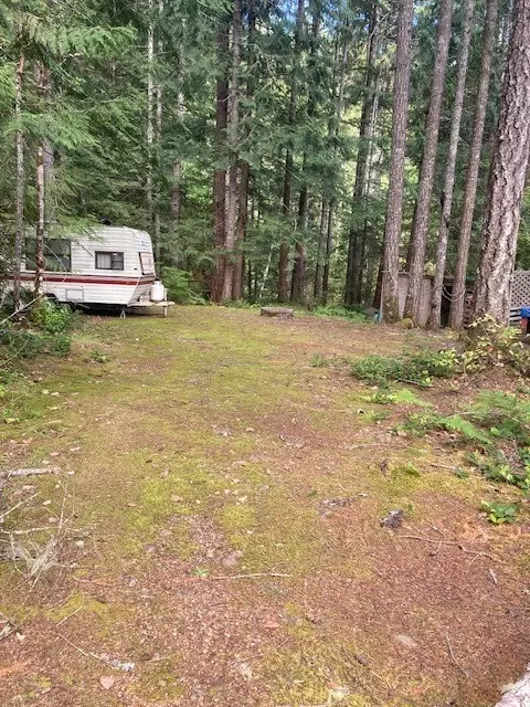 20 N Mt Jupiter Ct, Hoodsport, WA 98548