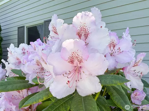 Other - 22 E Bedinger Rd, Sequim, WA 98382 photo 8 of 8