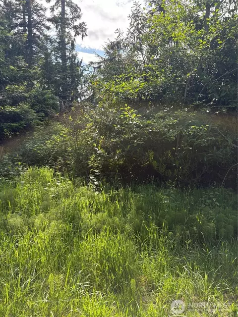 0 E Harbor Rd, Langley, WA 98260 photo 2