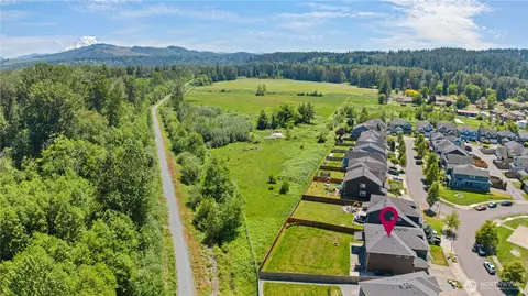 View/Area - 317 Phoenix Ave SW, Orting, WA 98360 photo 5 of 5
