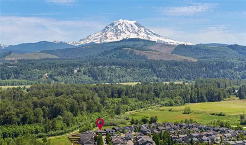 View/Area - 317 Phoenix Ave SW, Orting, WA 98360 photo 2 of 5