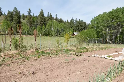 64 Elmer Rd, Twisp, WA 98856 photo 23