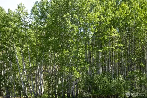 64 Elmer Rd, Twisp, WA 98856 photo 29