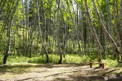 64 Elmer Rd, Twisp, WA 98856 photo 30