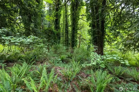 24118 177th St E, Orting, WA 98360