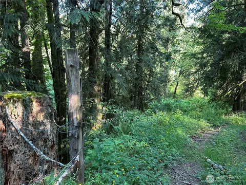 0 Nnn Holcomb Rd, Kelso, WA 98626