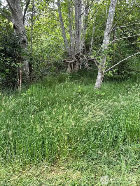 14 Nnn 33 Pl E, Seaview, WA 98644