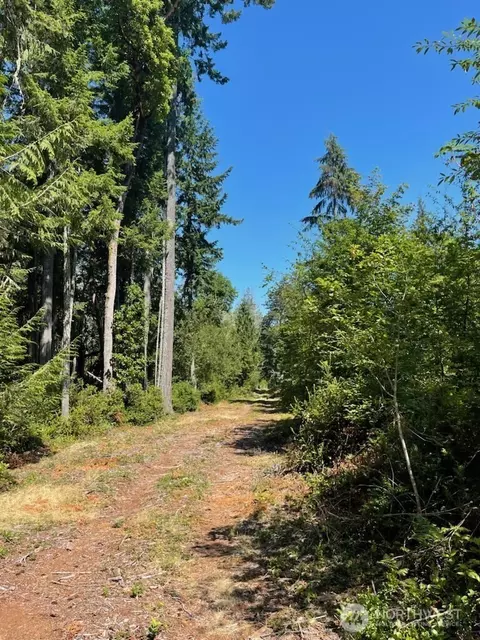 411 208th Ave NW, Lakebay, WA 98349