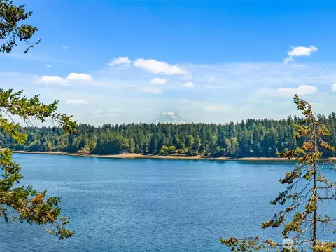 View/Area - 1236 E Island View Rd, Grapeview, WA 98546 photo 5 of 9