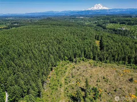 39507 18th Ave E, Roy, WA 98580 photo 25