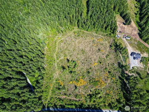 39507 18th Ave E, Roy, WA 98580 photo 30